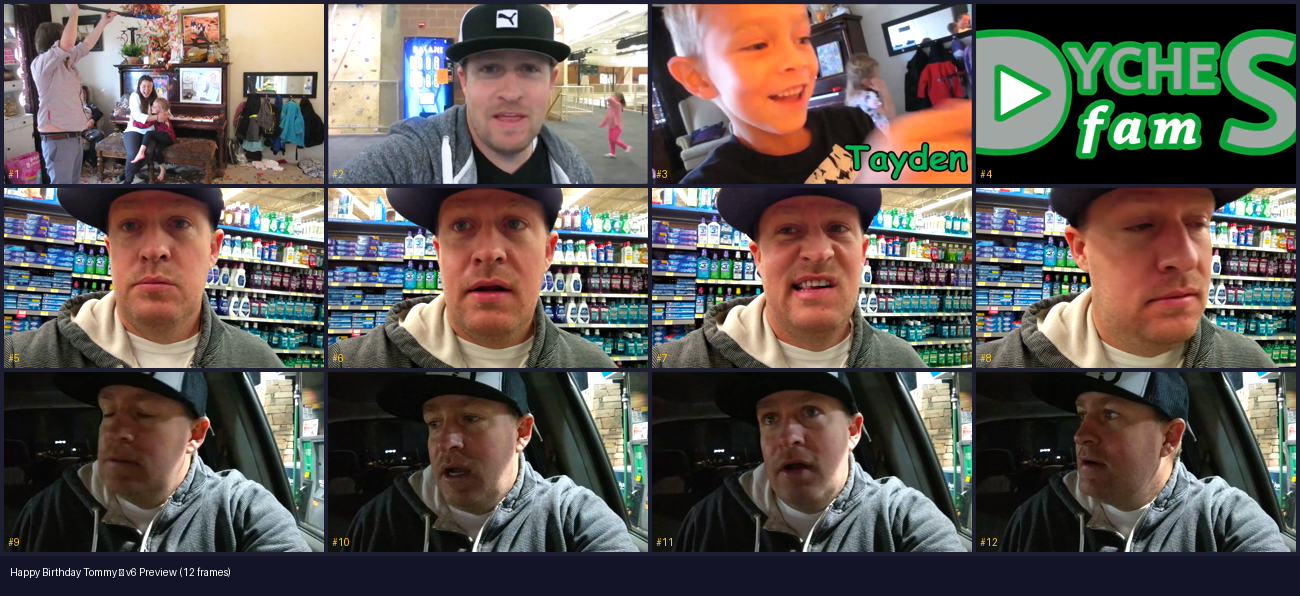12-frame preview grid